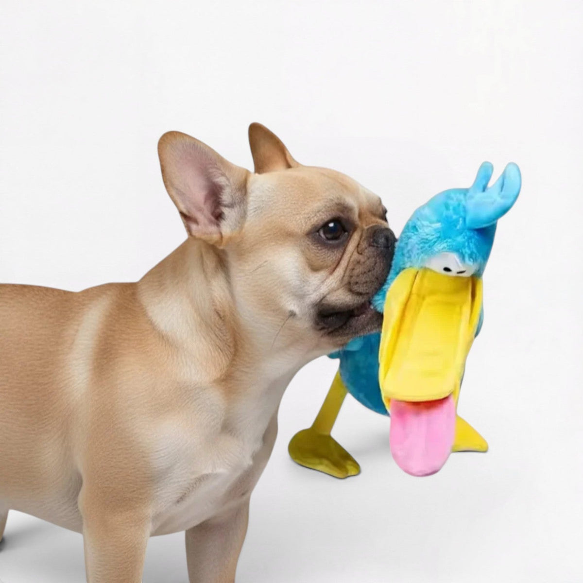 Frenchie-Big-DaDa-Bird-Squeaky-Toy.jpg