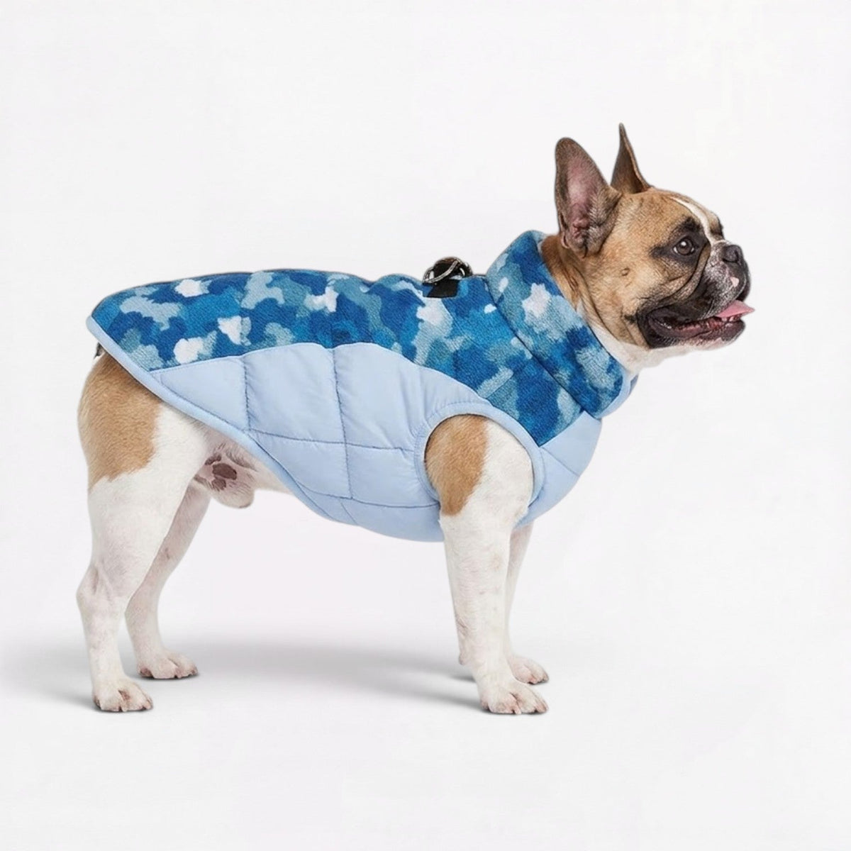 Frenchie-Camo-Cotton-Jacket.jpg