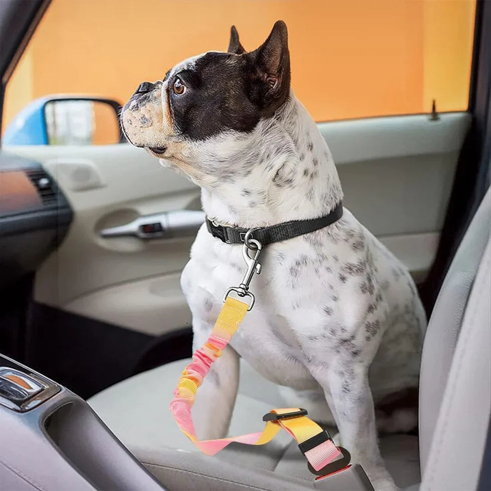 Frenchie-Car-Safety-Seat-Belt.jpg