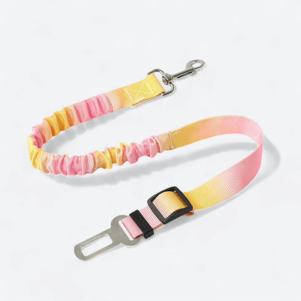 Frenchie-Car-Safety-Seat-Belt.jpg
