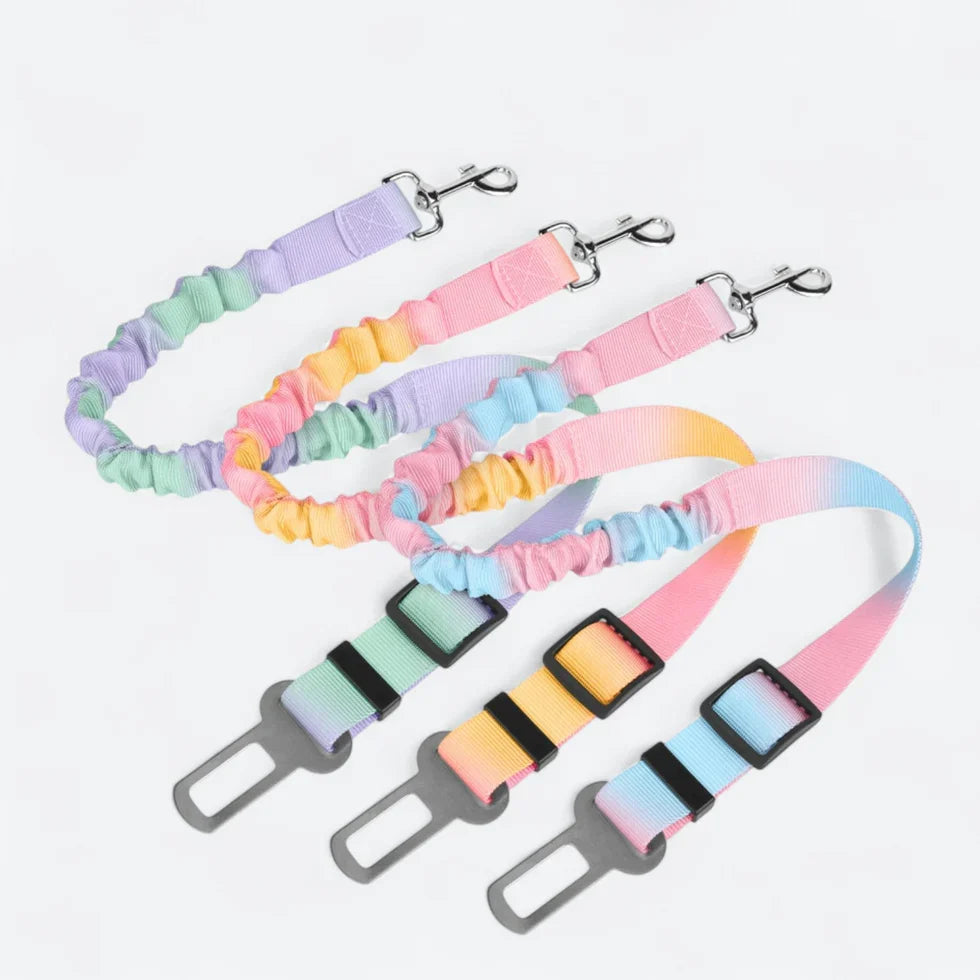 Frenchie-Car-Safety-Seat-Belt.jpg