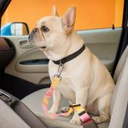 Frenchie-Car-Safety-Seat-Belt.jpg