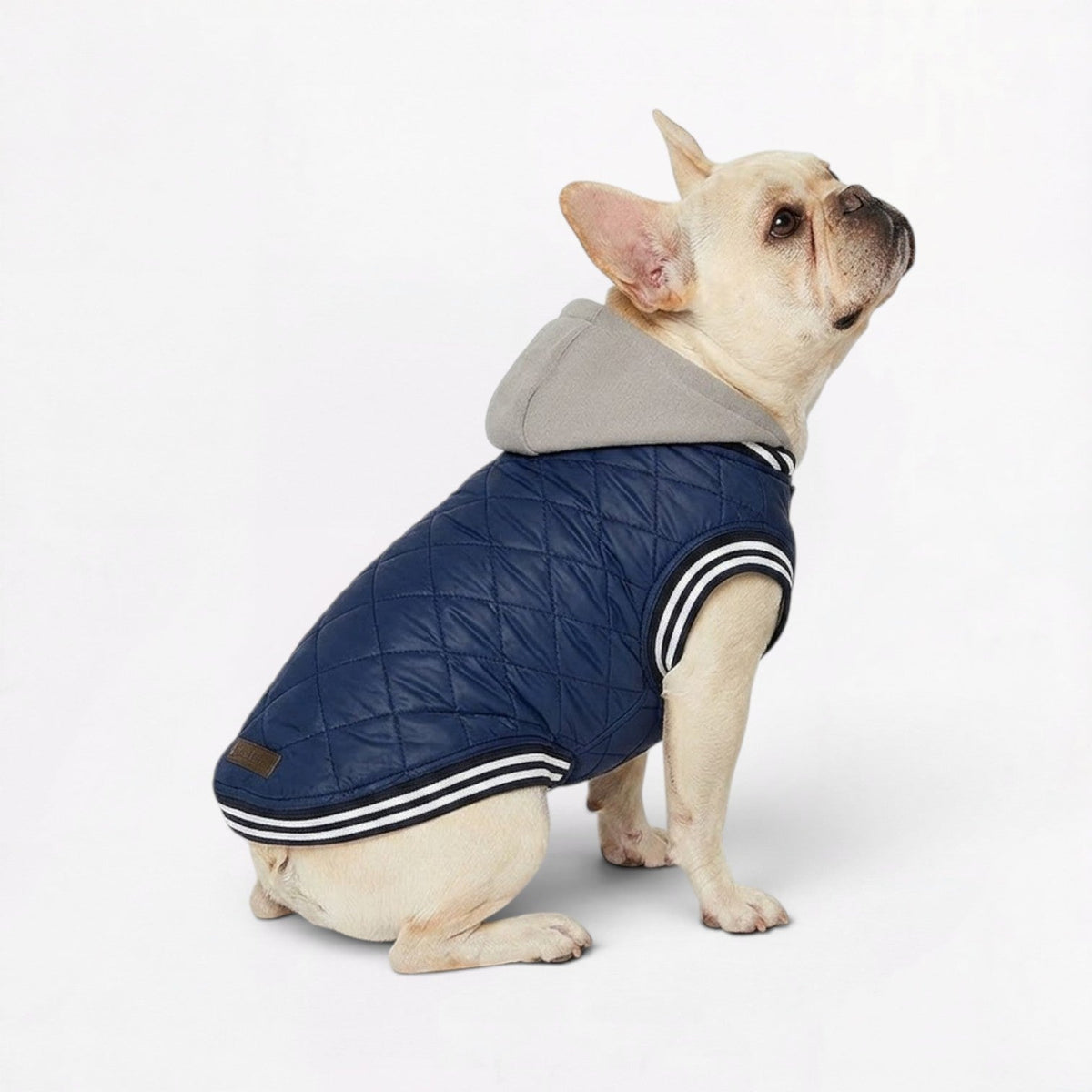 Frenchie-Comfortable-Hooded-Winter-Jacket.jpg