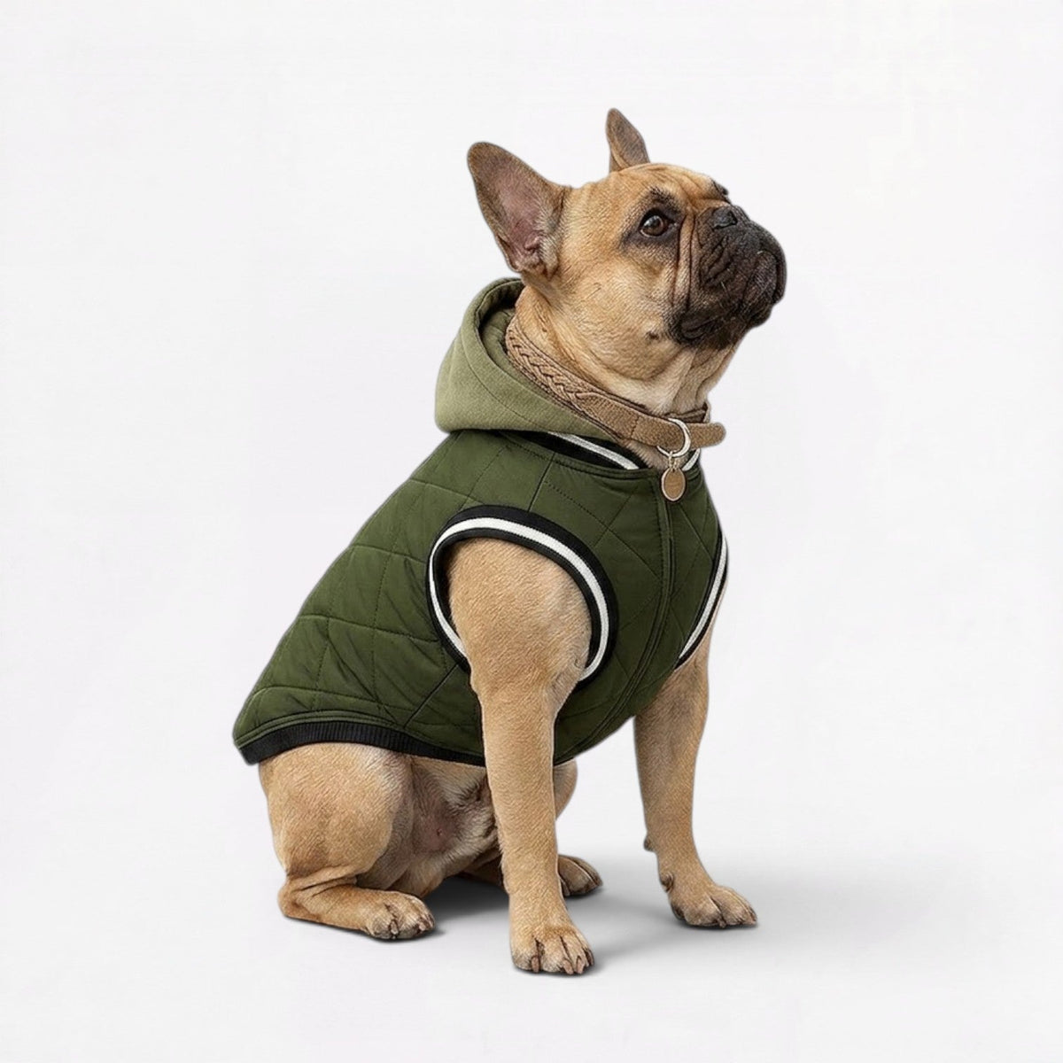 Frenchie-Comfortable-Hooded-Winter-Jacket.jpg