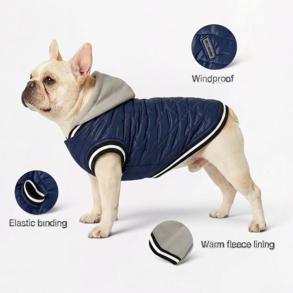 Frenchie-Comfortable-Hooded-Winter-Jacket.jpg