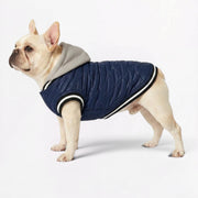 Frenchie-Comfortable-Hooded-Winter-Jacket.jpg