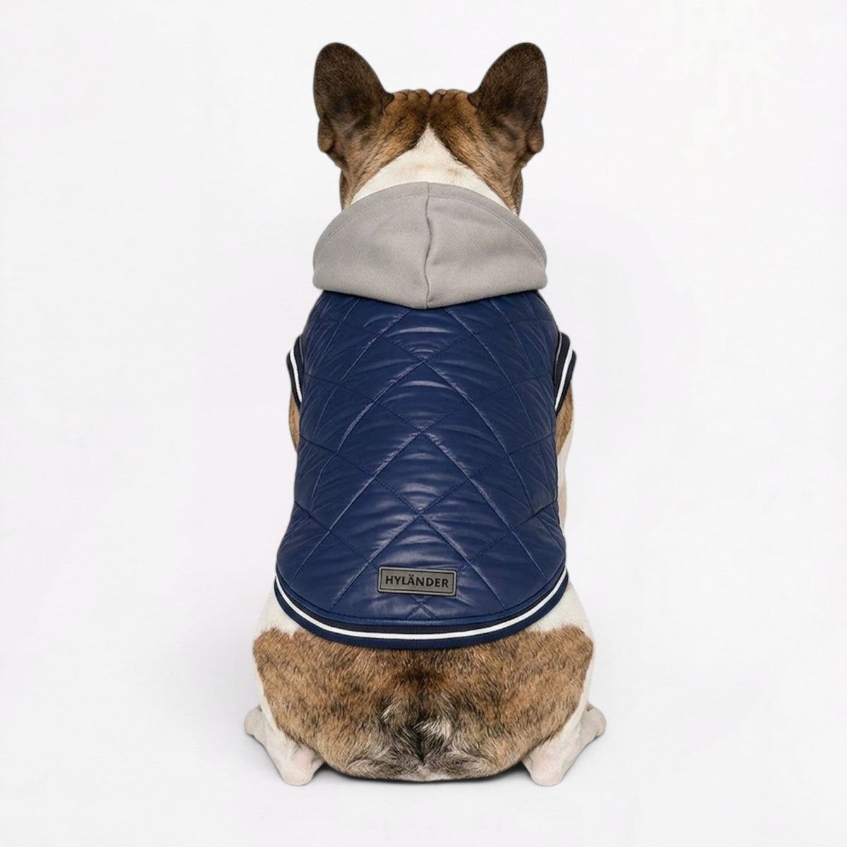 Frenchie-Comfortable-Hooded-Winter-Jacket.jpg