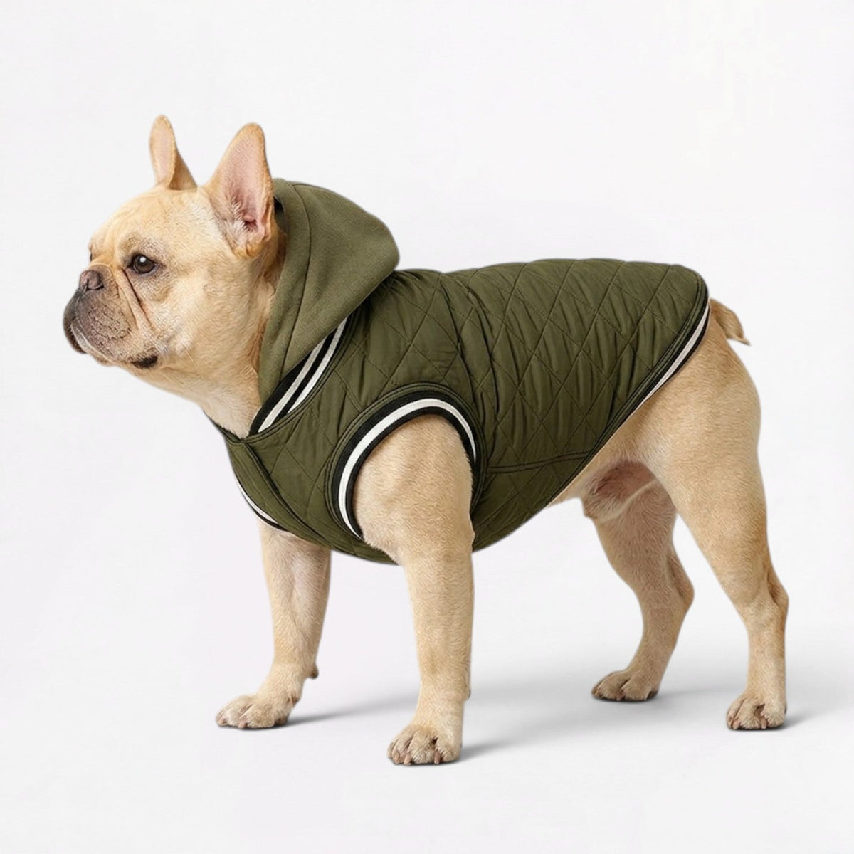 Frenchie-Comfortable-Hooded-Winter-Jacket.jpg