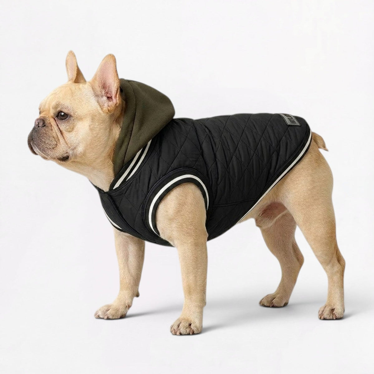 Frenchie-Comfortable-Hooded-Winter-Jacket.jpg