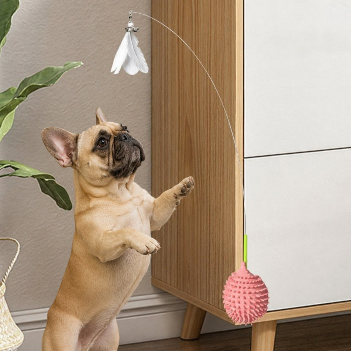 Frenchie-Corner-Scratching-Toy.jpg