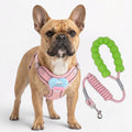 Frenchie-Cute-Plush-Harness-Leash-Set.jpg