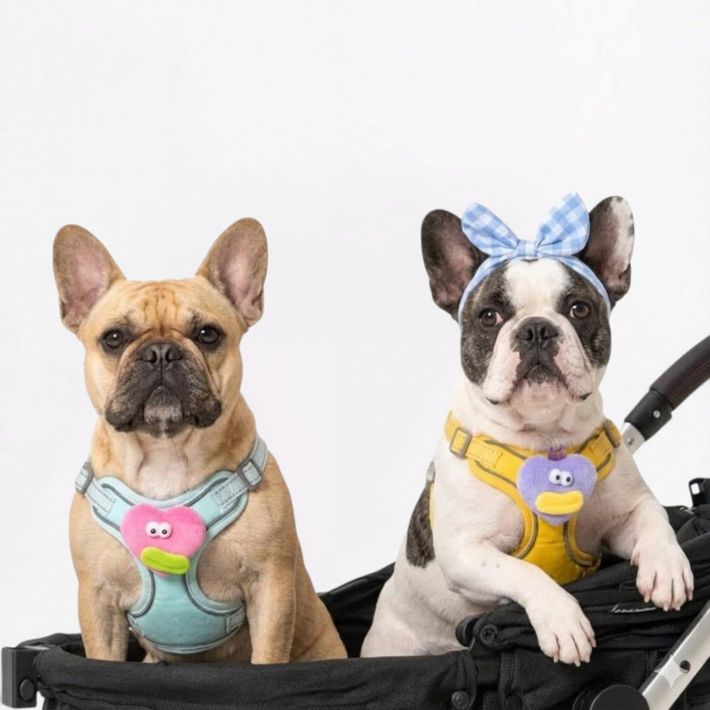 Frenchie-Cute-Plush-Harness-Leash-Set.jpg
