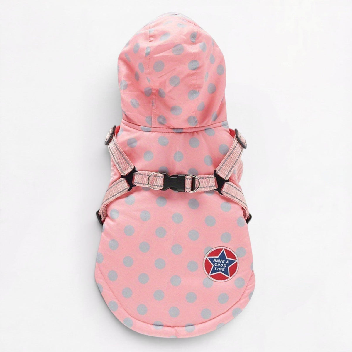 Frenchie-Cute-Polka-Dot-Jacket.jpg