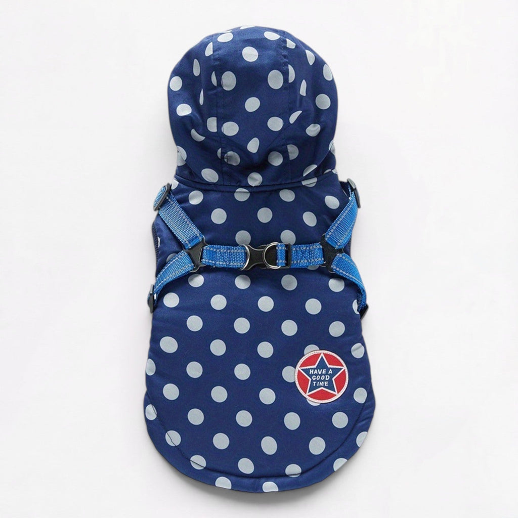 Frenchie-Cute-Polka-Dot-Jacket.jpg