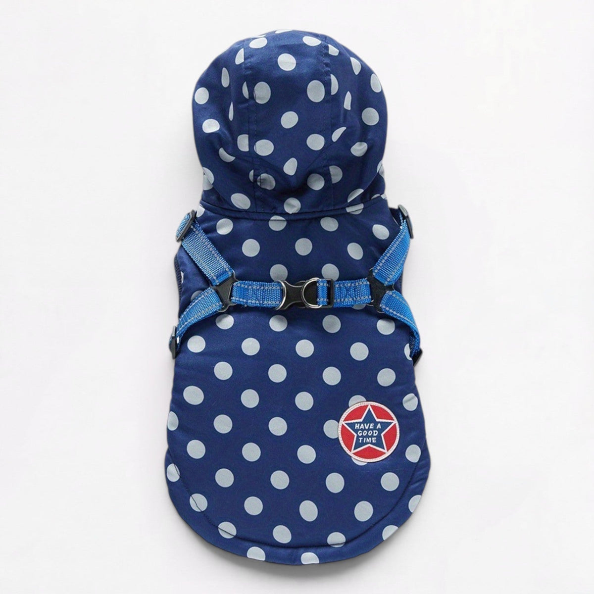 Frenchie-Cute-Polka-Dot-Jacket.jpg