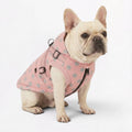 Frenchie-Cute-Polka-Dot-Jacket.jpg
