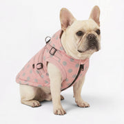 Frenchie-Cute-Polka-Dot-Jacket.jpg