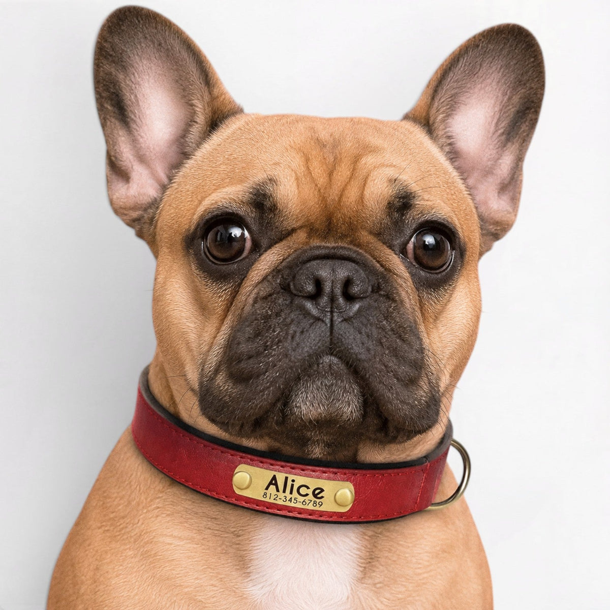 Frenchie-Engraved-Leather-Collar.jpg