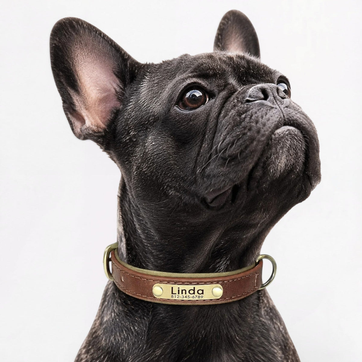 Frenchie-Engraved-Leather-Collar.jpg
