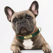 Frenchie-Engraved-Leather-Collar.jpg