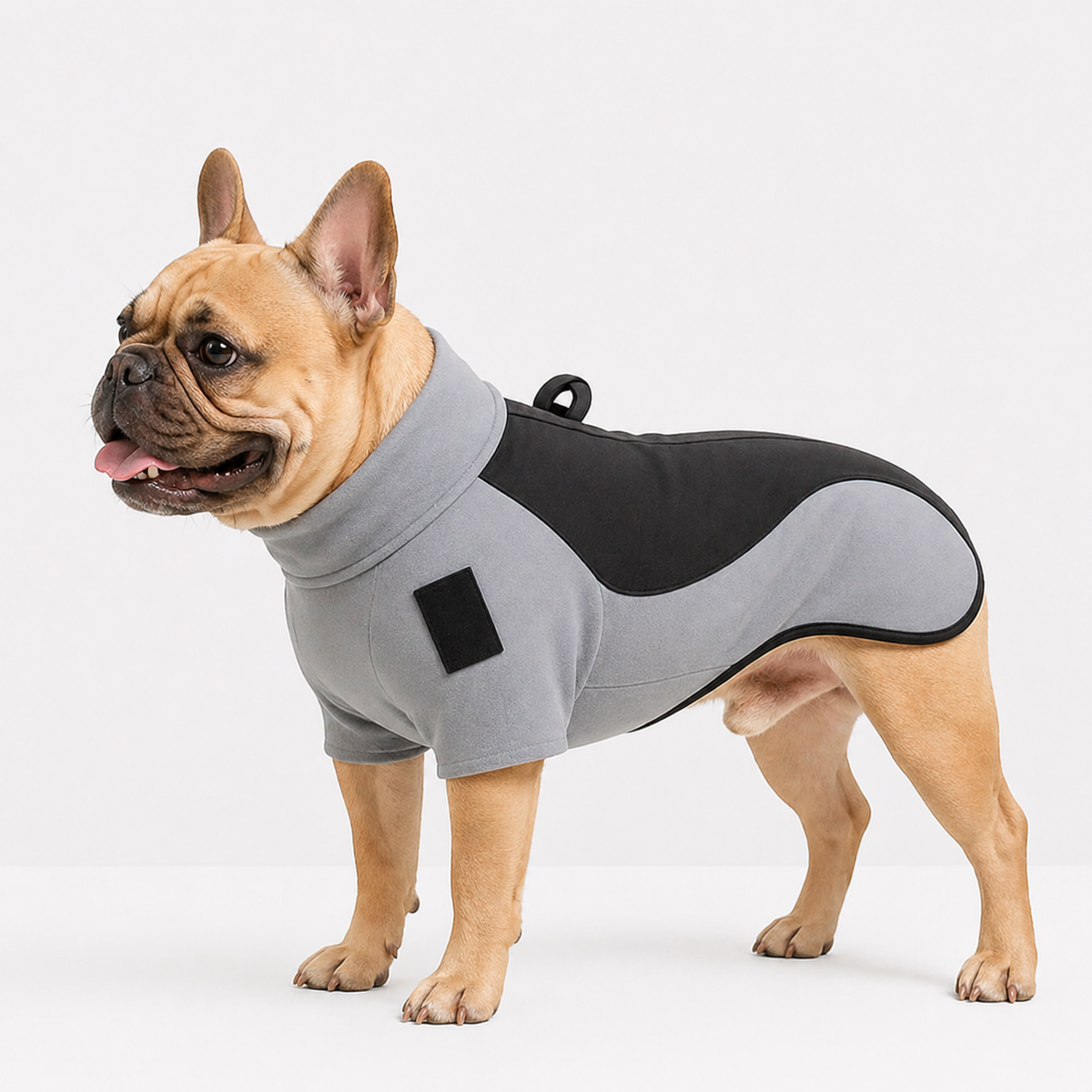 Frenchie-Fleece-Lined-Turtleneck-Jacket.jpg