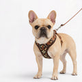 Frenchie-Floral-Padded-Harness-Leash-Set.jpg