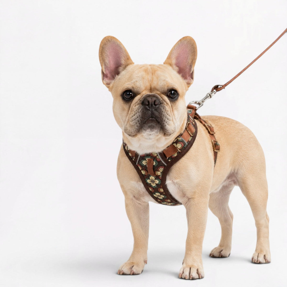Frenchie-Floral-Padded-Harness-Leash-Set.jpg