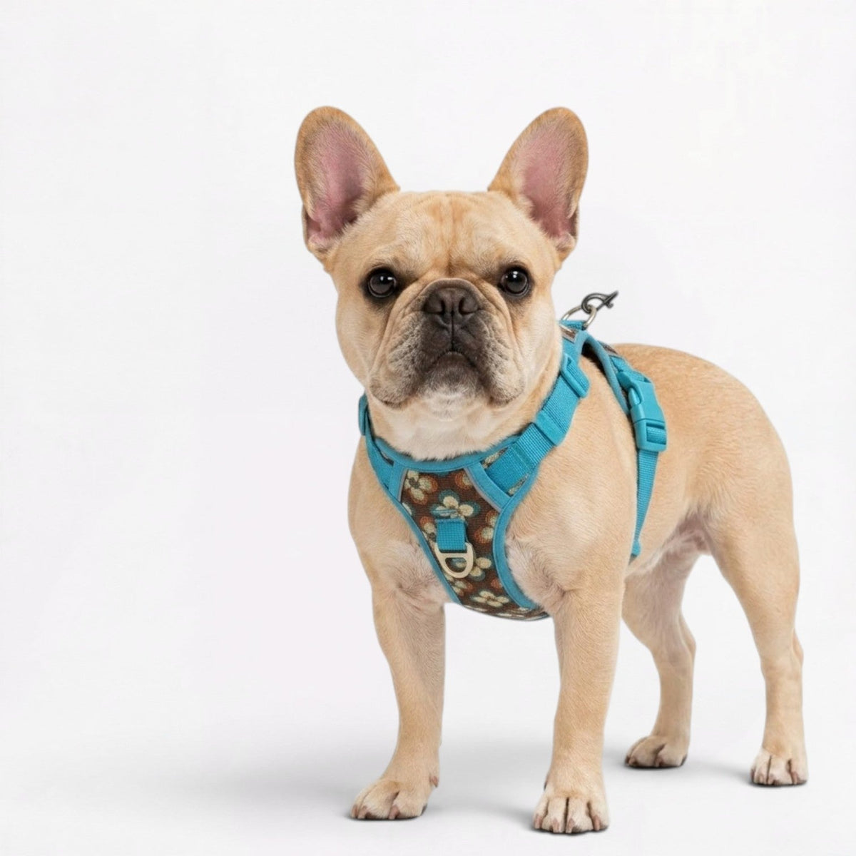 Frenchie-Floral-Padded-Harness-Leash-Set.jpg