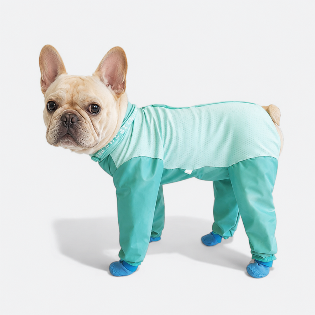 Frenchie-Full-Body-Rain-Jumpsuit.jpg