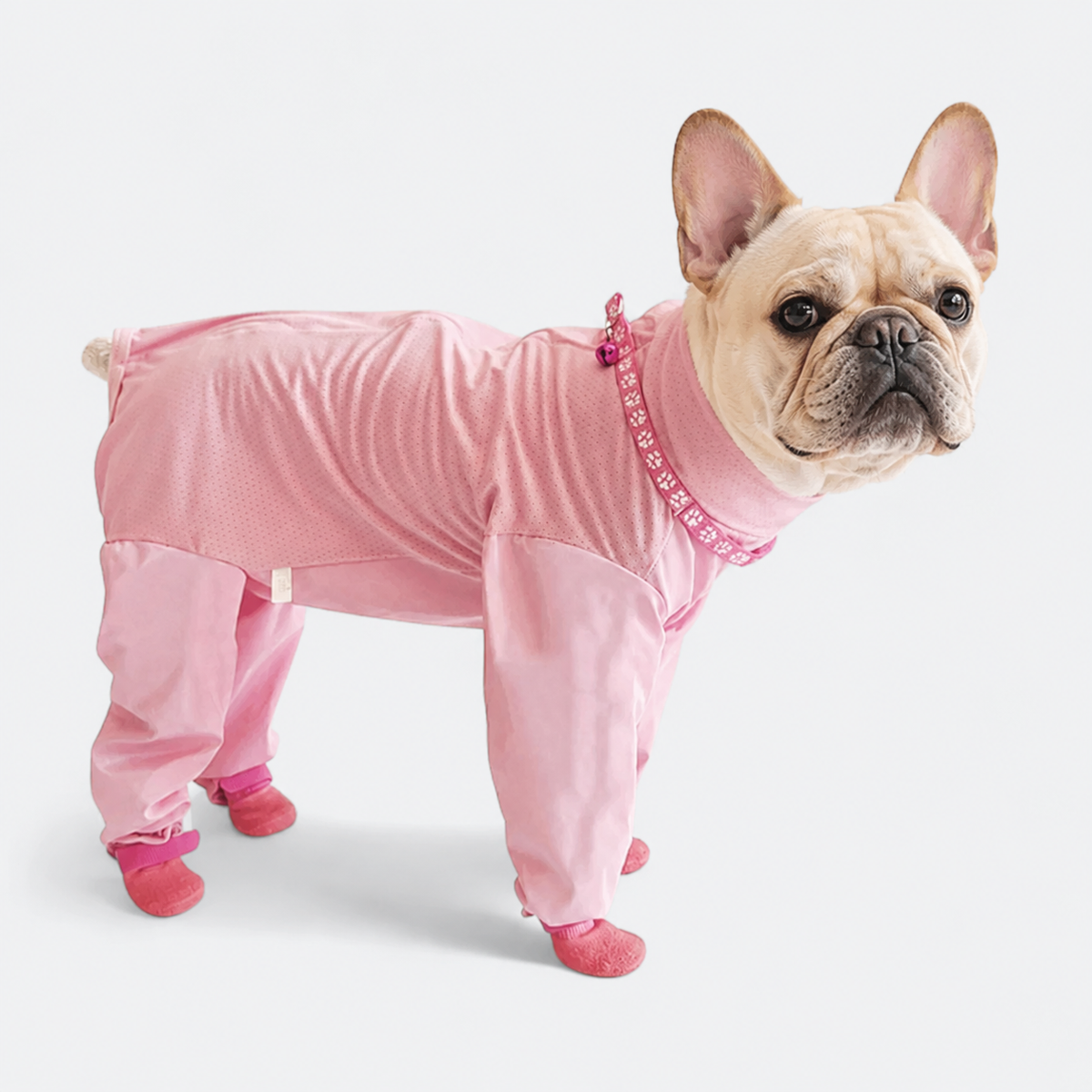 Frenchie-Full-Body-Rain-Jumpsuit.jpg