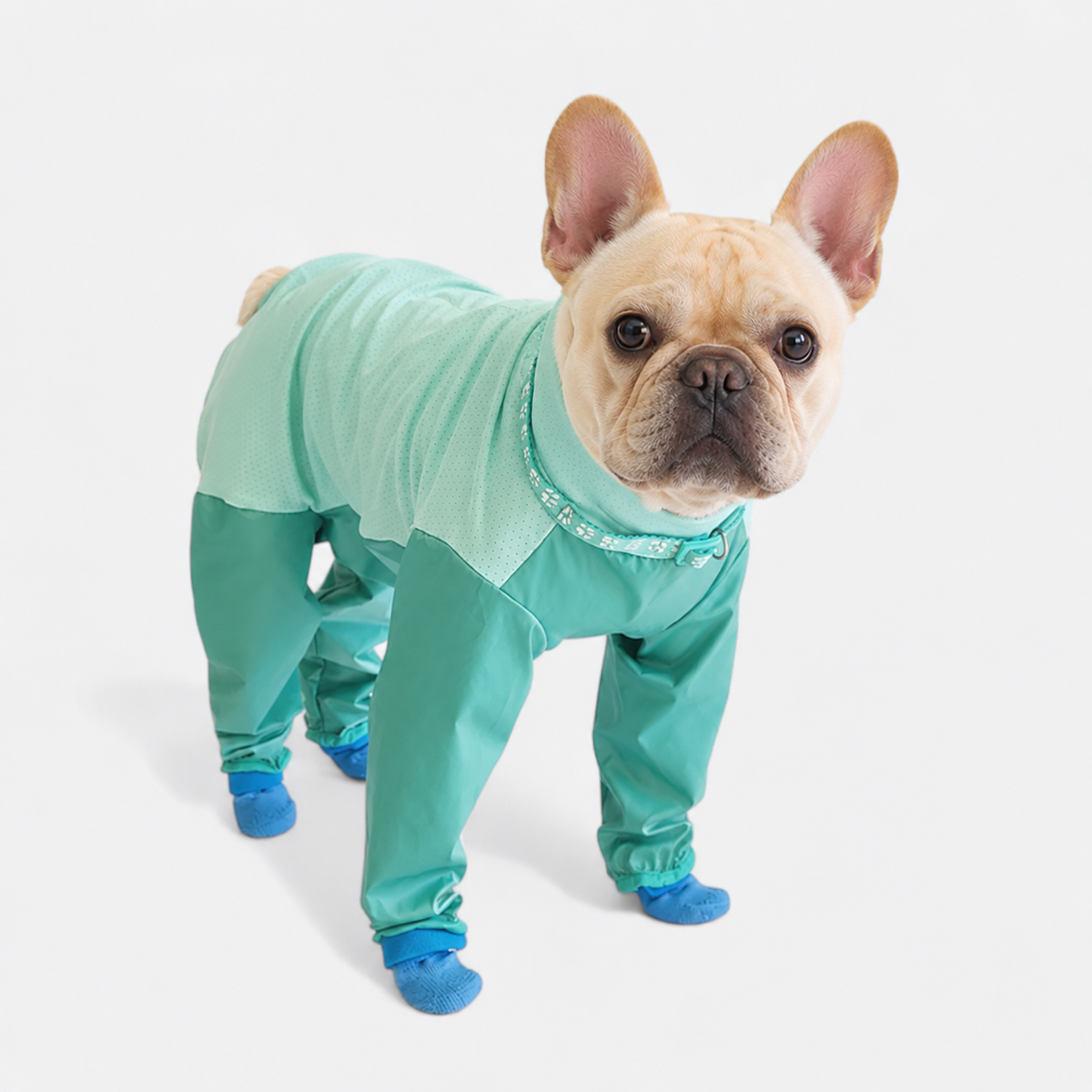Frenchie-Full-Body-Rain-Jumpsuit.jpg