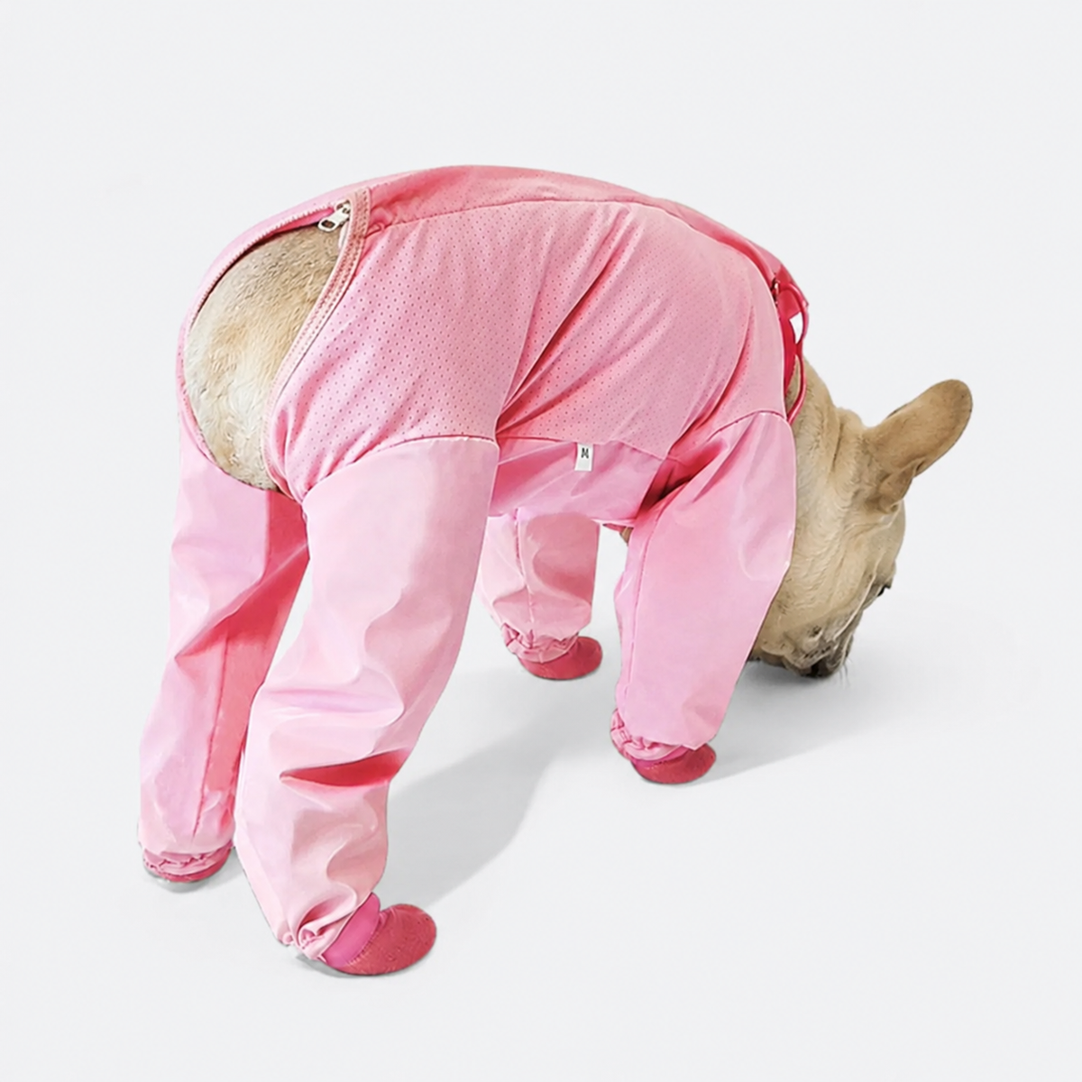 Frenchie-Full-Body-Rain-Jumpsuit.jpg