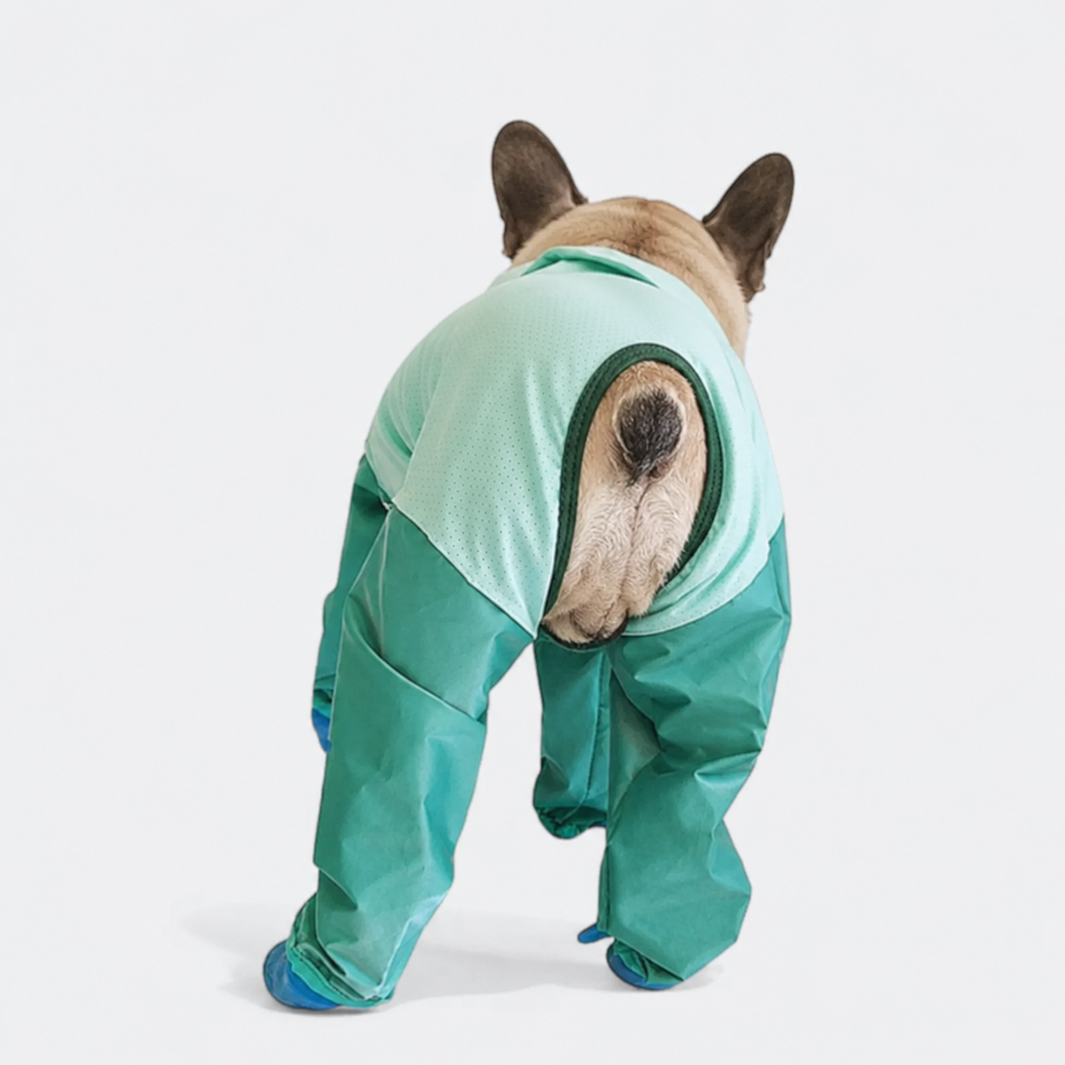 Frenchie-Full-Body-Rain-Jumpsuit.jpg