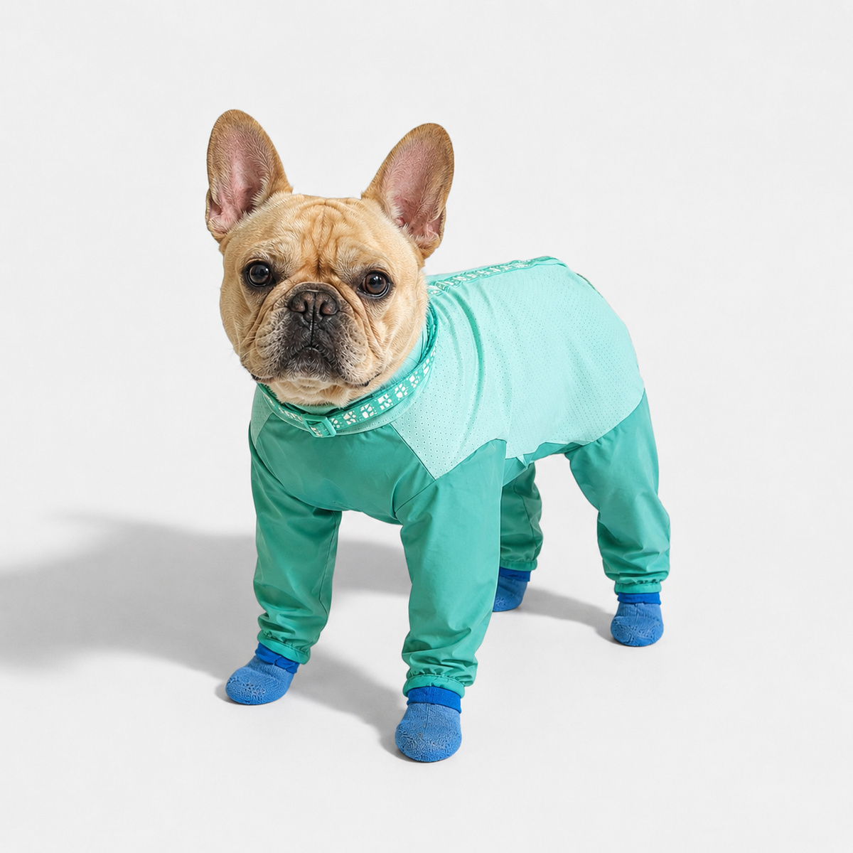 Frenchie-Full-Body-Rain-Jumpsuit.jpg