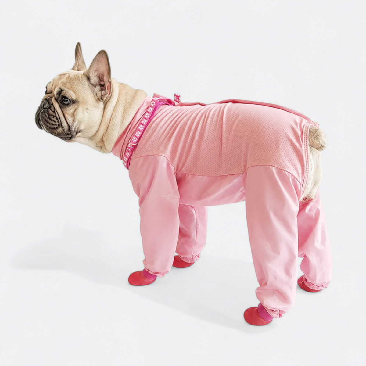 Frenchie-Full-Body-Rain-Jumpsuit.jpg