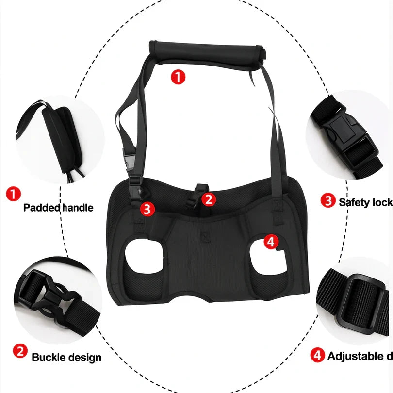 Frenchie-Full-Body-Support-Sling-Harness.jpg
