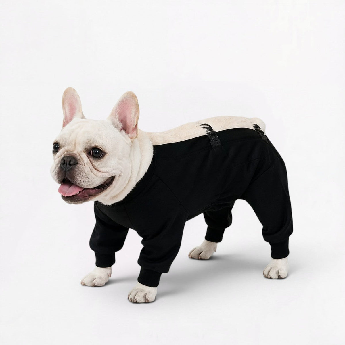 Frenchie-Full-Body-Waterproof-Jumpsuit.jpg