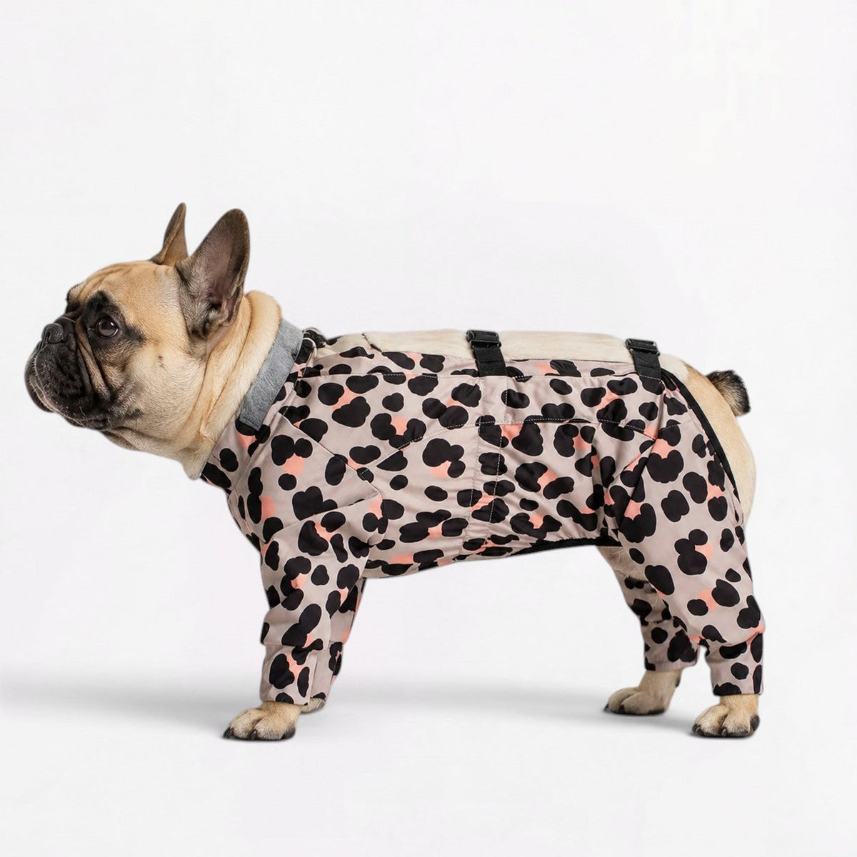 Frenchie-Full-Body-Waterproof-Jumpsuit.jpg