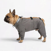 Frenchie-Full-Body-Waterproof-Jumpsuit.jpg