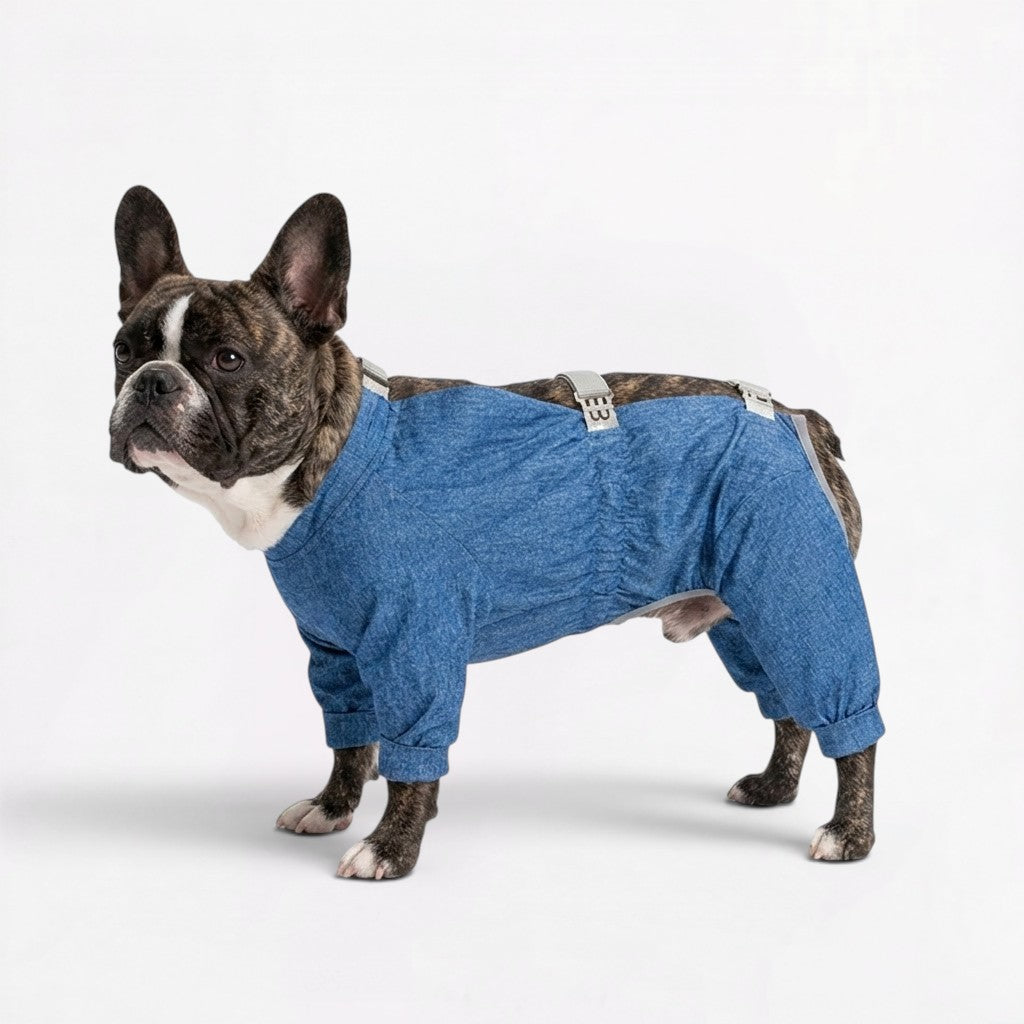 Frenchie-Full-Body-Waterproof-Jumpsuit.jpg