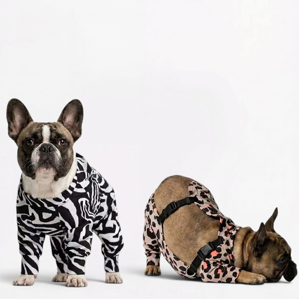 Frenchie-Full-Body-Waterproof-Jumpsuit.jpg