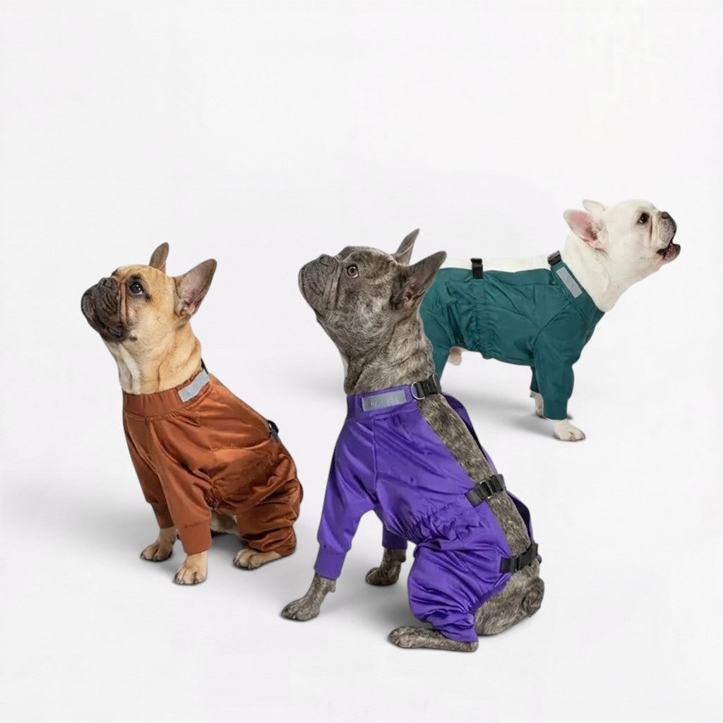 Frenchie-Full-Body-Waterproof-Jumpsuit.jpg