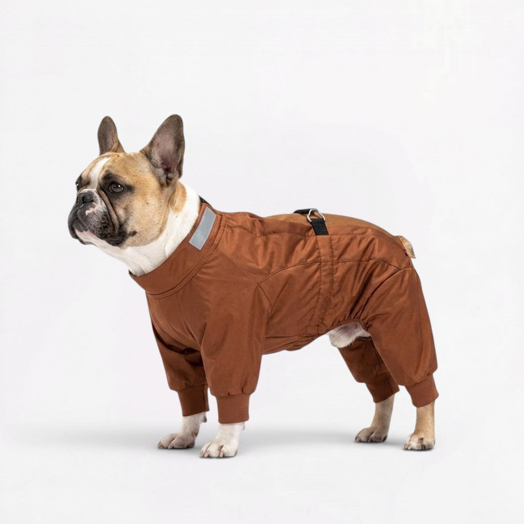 Frenchie-Full-Body-Waterproof-Jumpsuit.jpg
