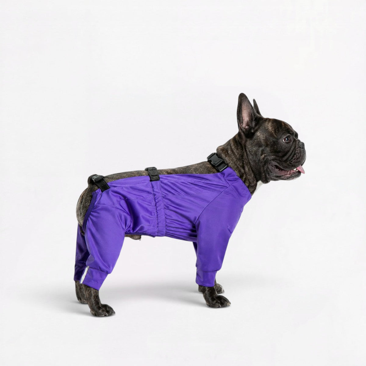 Frenchie-Full-Body-Waterproof-Jumpsuit.jpg