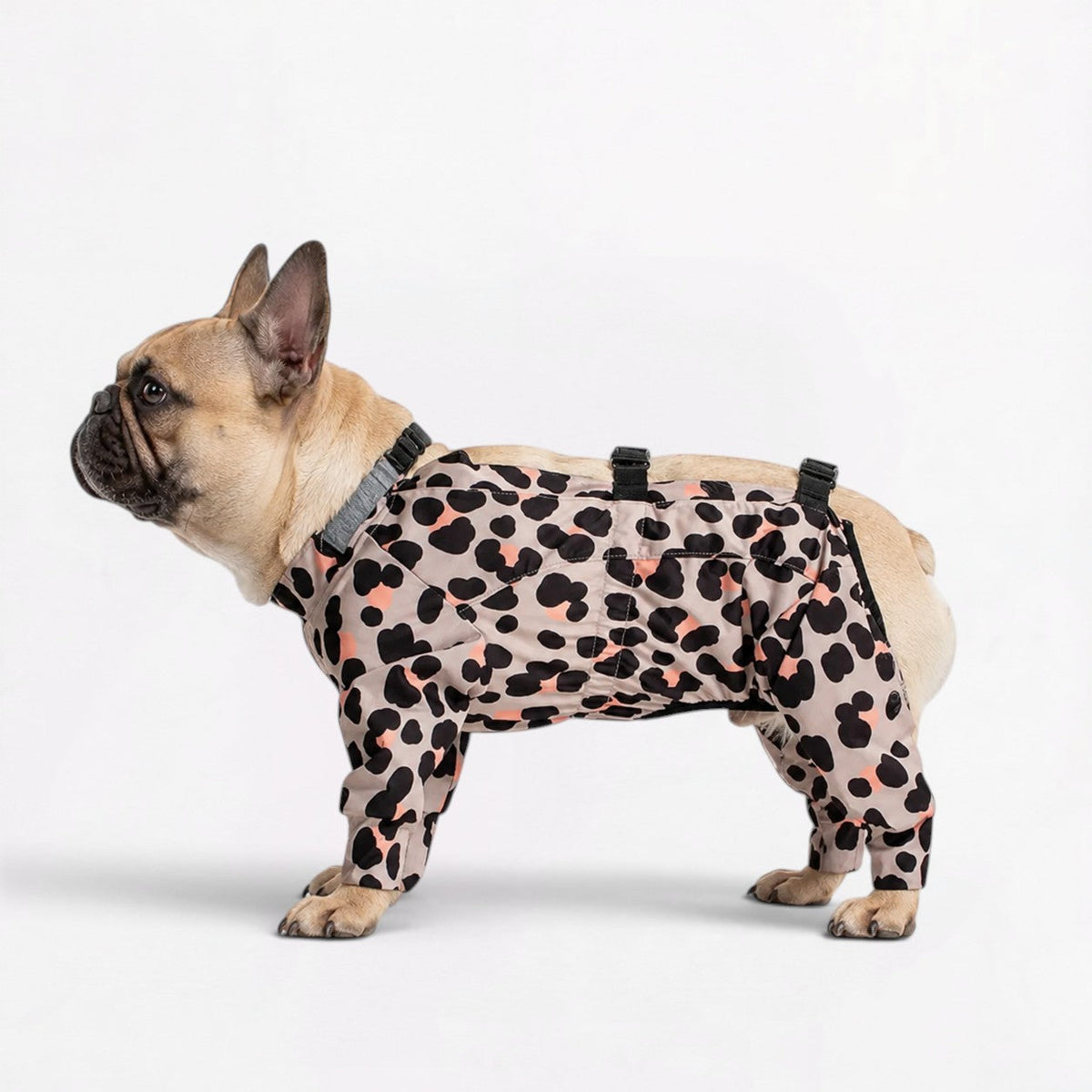 Frenchie-Full-Body-Waterproof-Jumpsuit.jpg