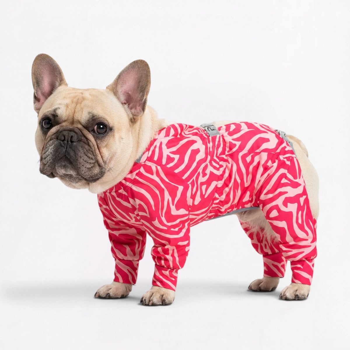 Frenchie-Full-Body-Waterproof-Jumpsuit.jpg