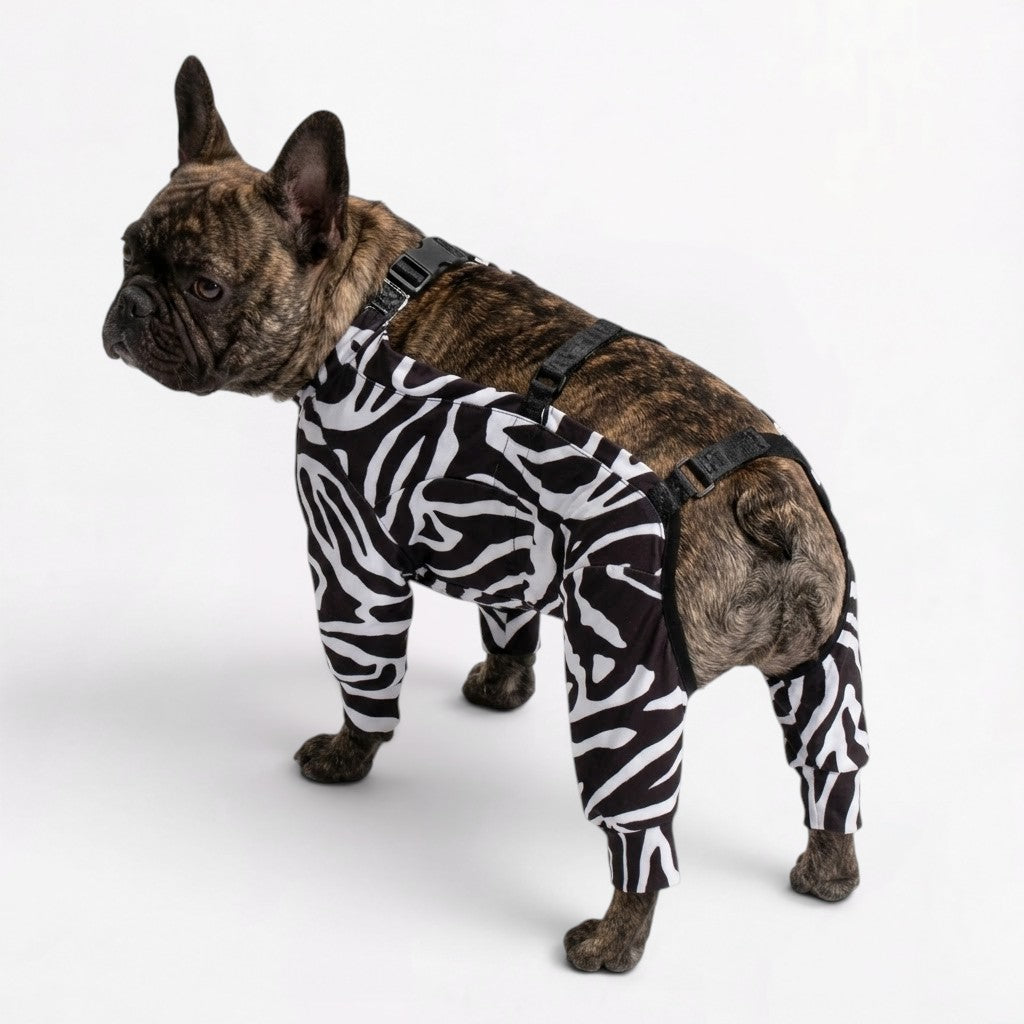 Frenchie-Full-Body-Waterproof-Jumpsuit.jpg