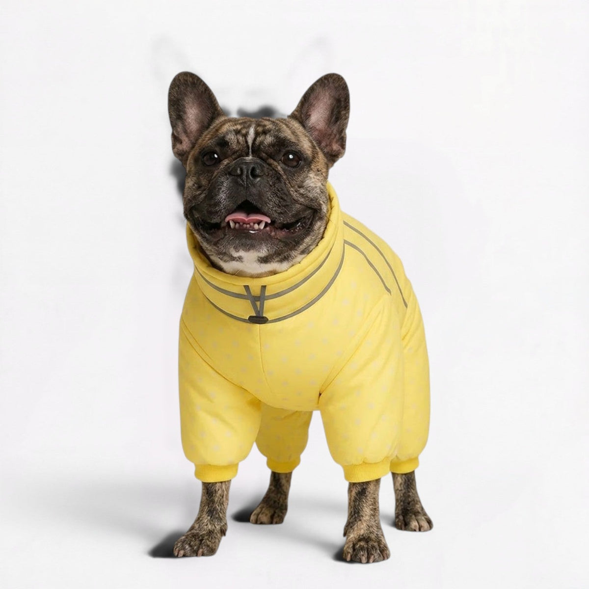 Frenchie-Full-Body-Winter-Jumpsuit.jpg