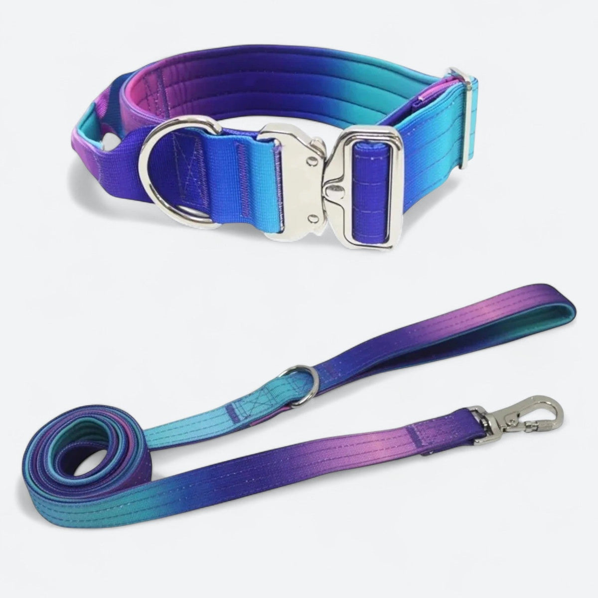 Frenchie-Gradient-Tactical-Collar-Leash-Set.jpg