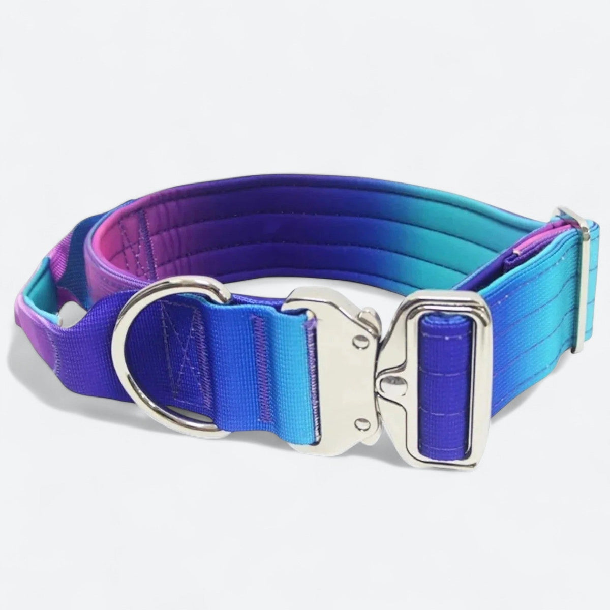 Frenchie-Gradient-Tactical-Collar-Leash-Set.jpg